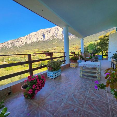 Вілла Panoramic House Ольєна Екстер'єр фото